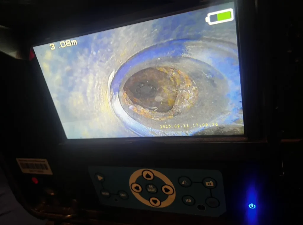 飲食店カメラ調査