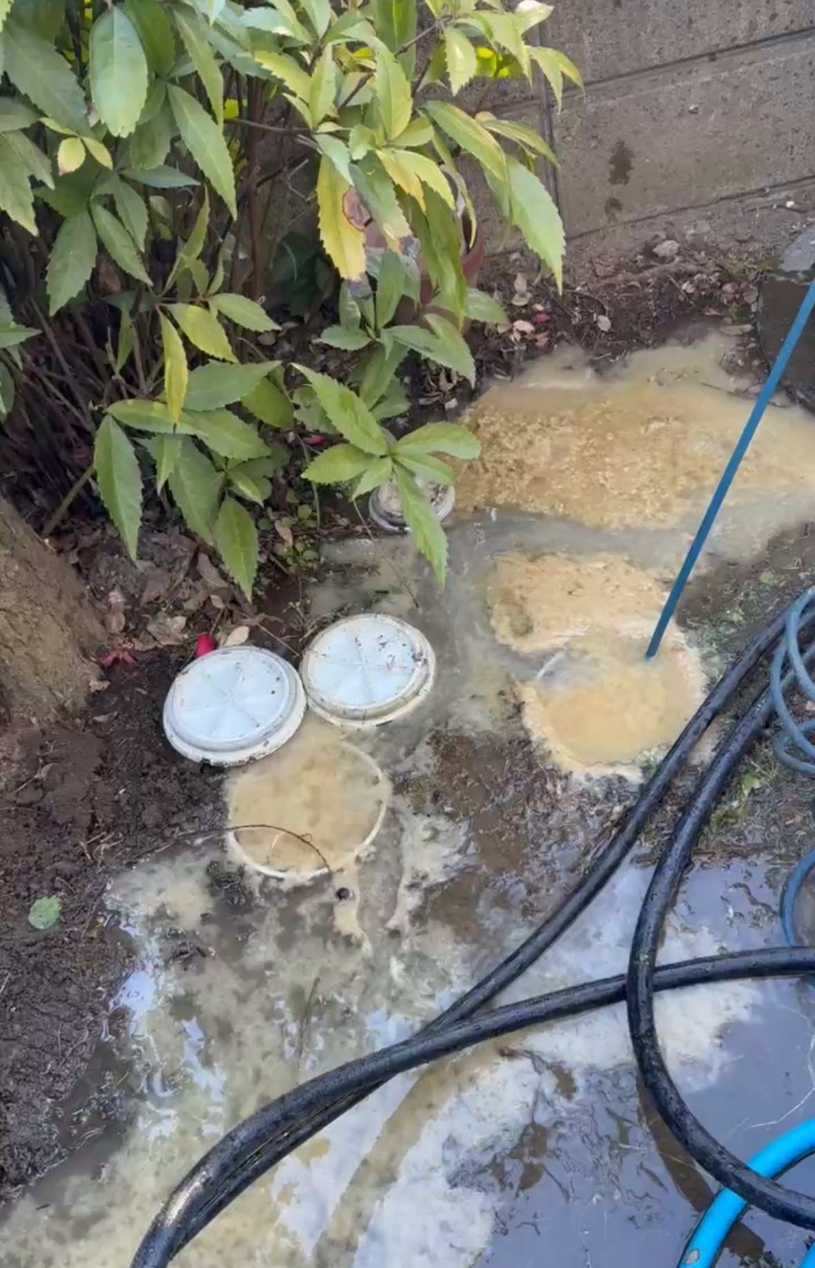 排水枡の内部に汚れが溜まっている状態
