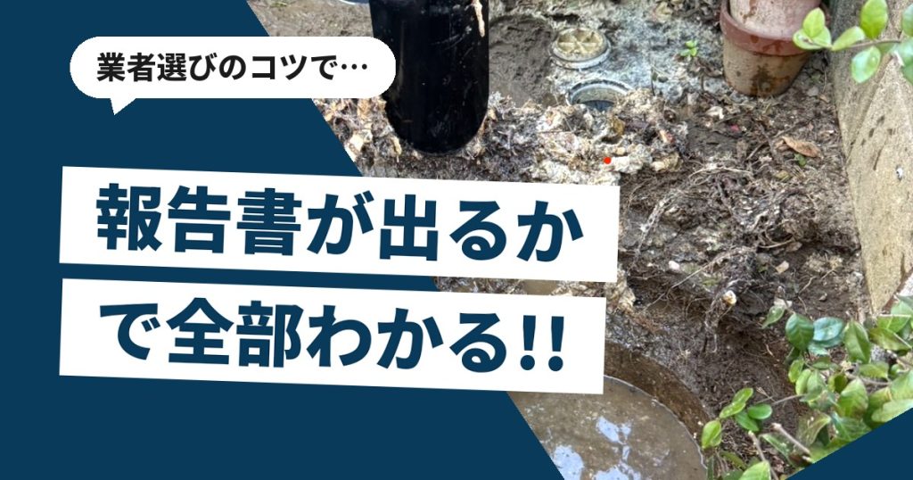 排水枡の内部に木の根が入り込んでいる状態を記録した写真