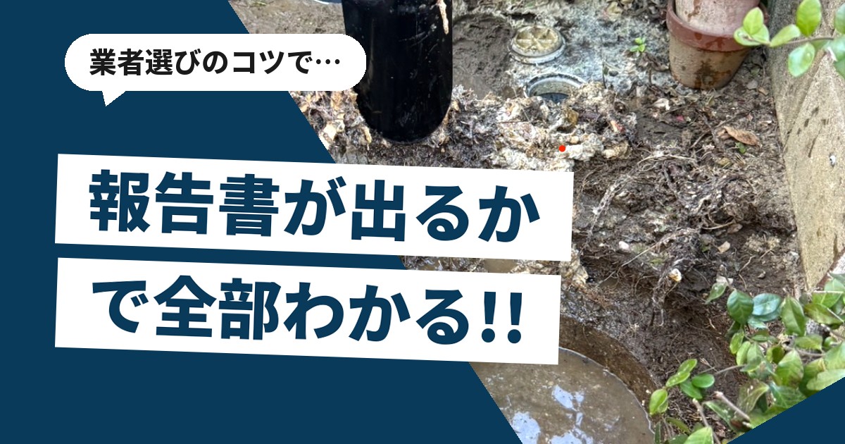 排水枡の内部に木の根が入り込んでいる状態を記録した写真